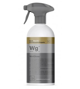WetGloss Wg Sealant 500ml -...
